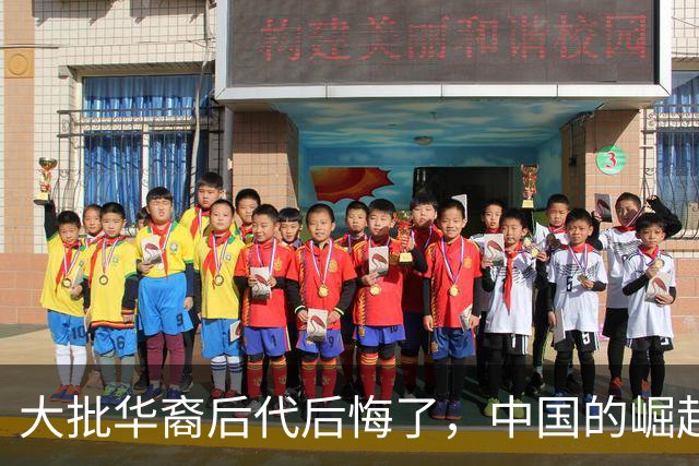 大批华裔后代后悔了，中国的崛起，却成了他们最大的“身份枷锁”